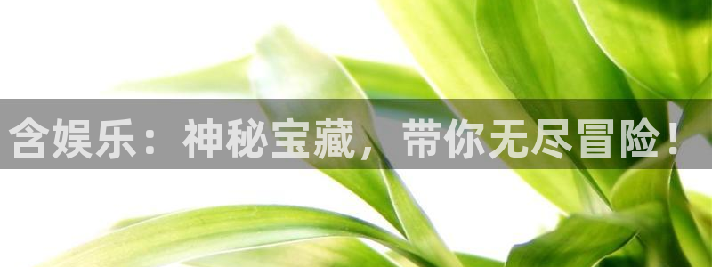 星欧娱乐科技赋能,让平台更有趣