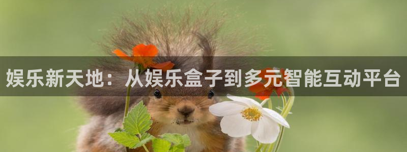 星欧娱乐,apk.