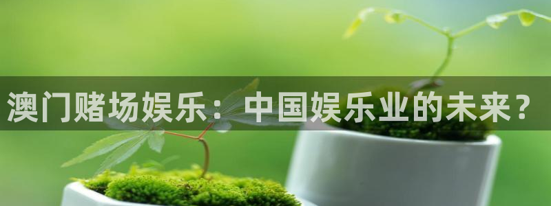 星欧娱乐加拿大官网