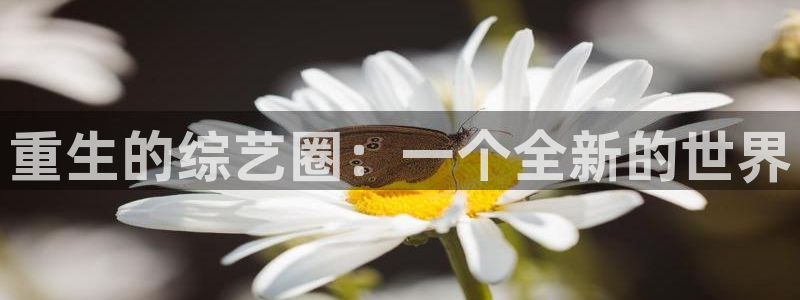 壹号app下载苹果
