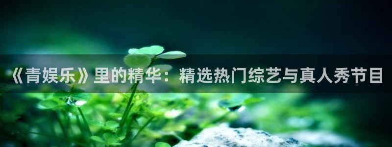 壹号大舞台28国际大舞台