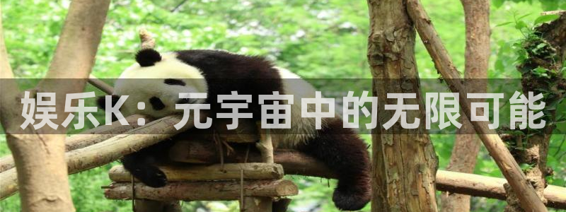 星欧娱乐游戏官网入口