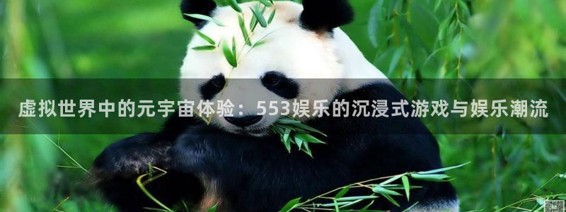 星欧娱乐.ccm