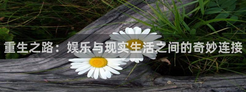星欧娱乐平台官网版下载