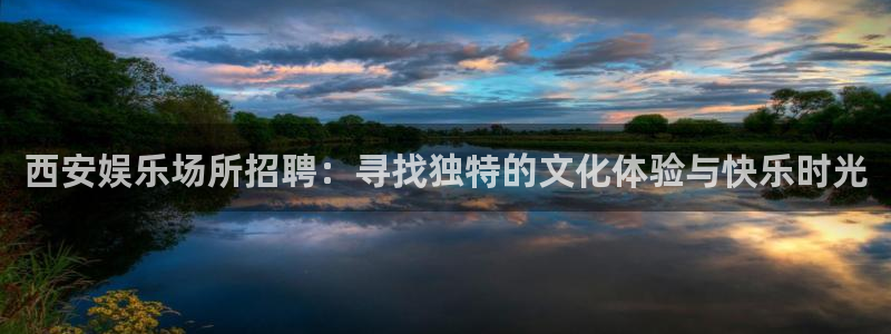 壹号下载官网入口