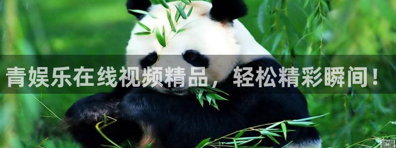 壹号电子娱乐app下载官网：青娱乐在线视频精品，轻松精彩瞬间！